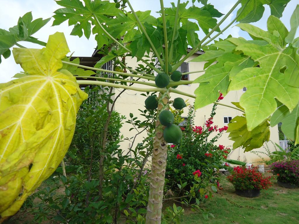 Posada Sunshine Paradise Providencia Island Exterior foto